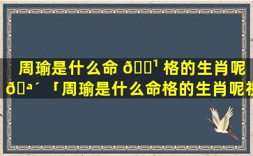 周瑜是什么命 🌹 格的生肖呢 🪴 「周瑜是什么命格的生肖呢视频」